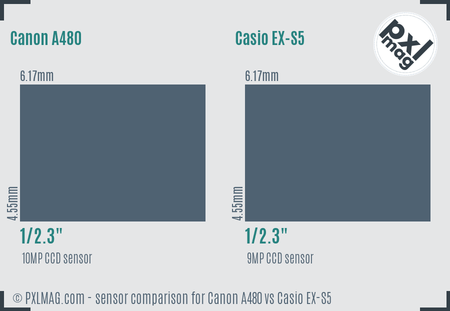 Canon A480 vs Casio EX-S5 sensor size comparison