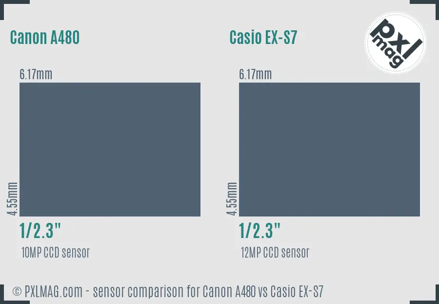 Canon A480 vs Casio EX-S7 sensor size comparison