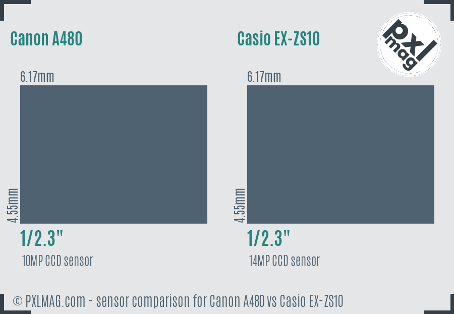 Canon A480 vs Casio EX-ZS10 sensor size comparison