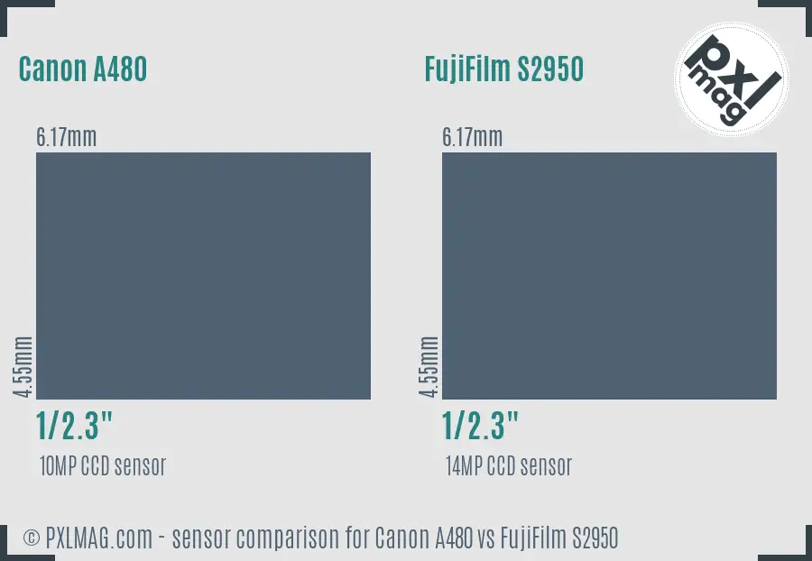 Canon A480 vs FujiFilm S2950 sensor size comparison