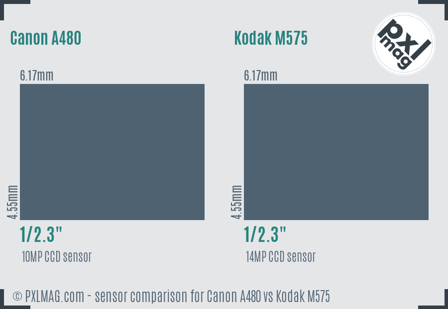 Canon A480 vs Kodak M575 sensor size comparison
