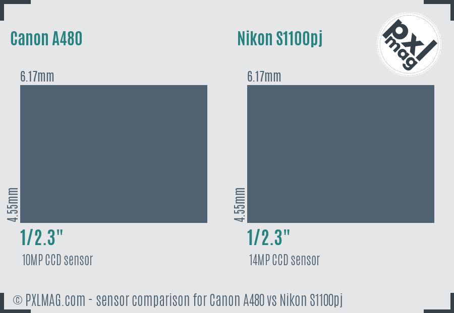 Canon A480 vs Nikon S1100pj sensor size comparison