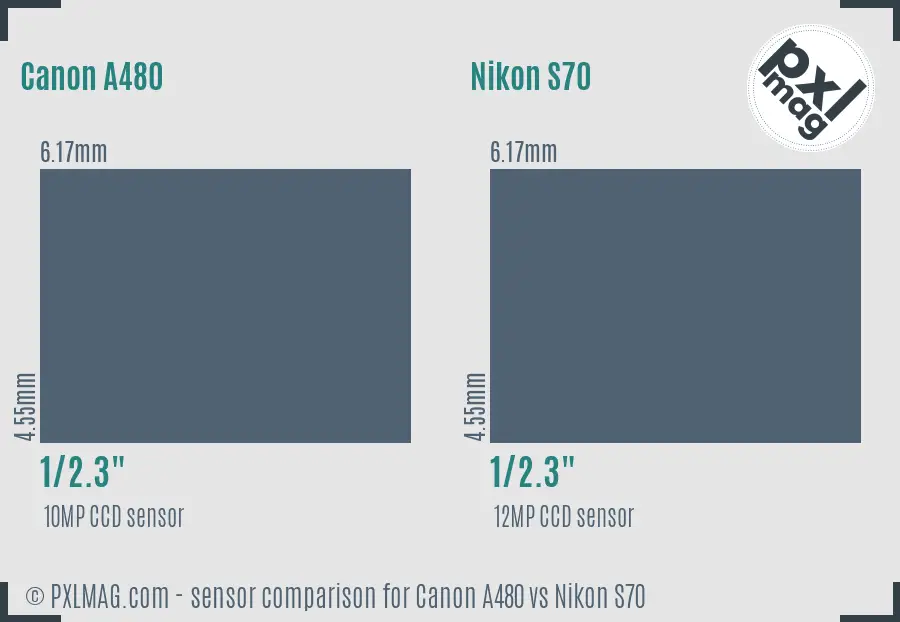 Canon A480 vs Nikon S70 sensor size comparison