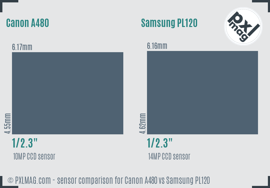 Canon A480 vs Samsung PL120 sensor size comparison