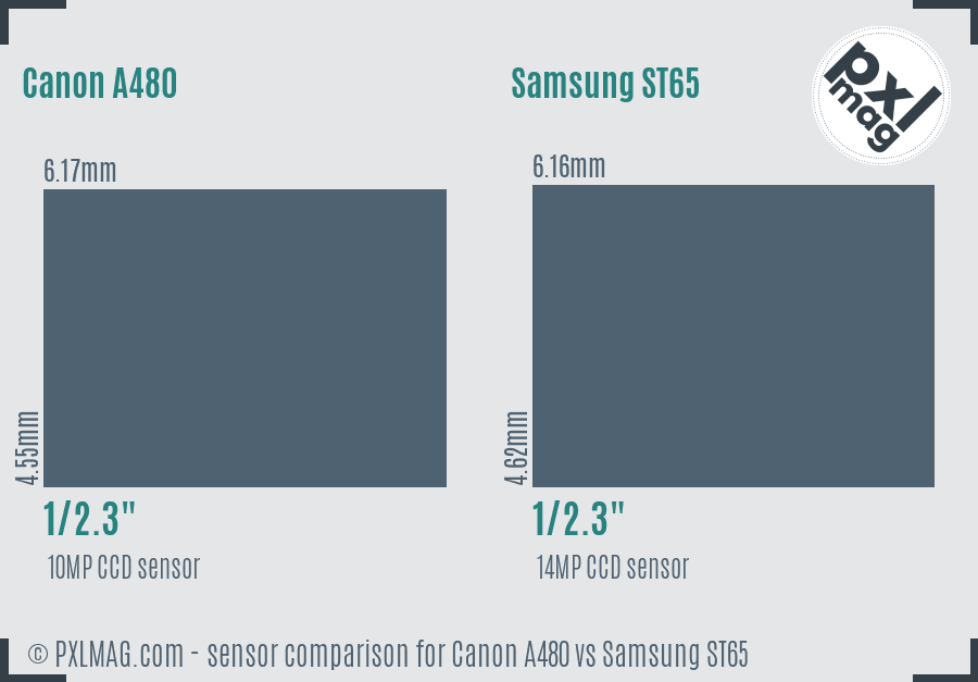 Canon A480 vs Samsung ST65 sensor size comparison