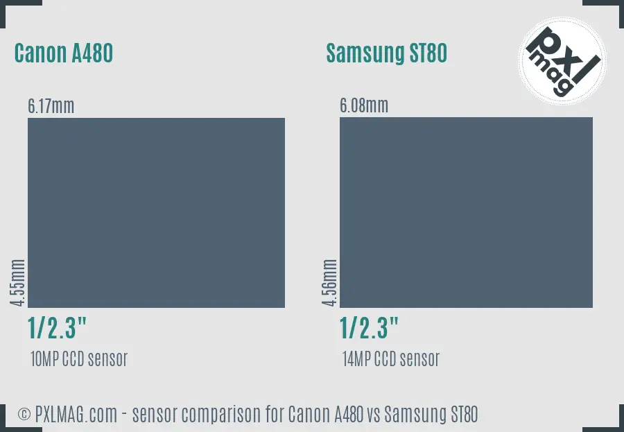 Canon A480 vs Samsung ST80 sensor size comparison