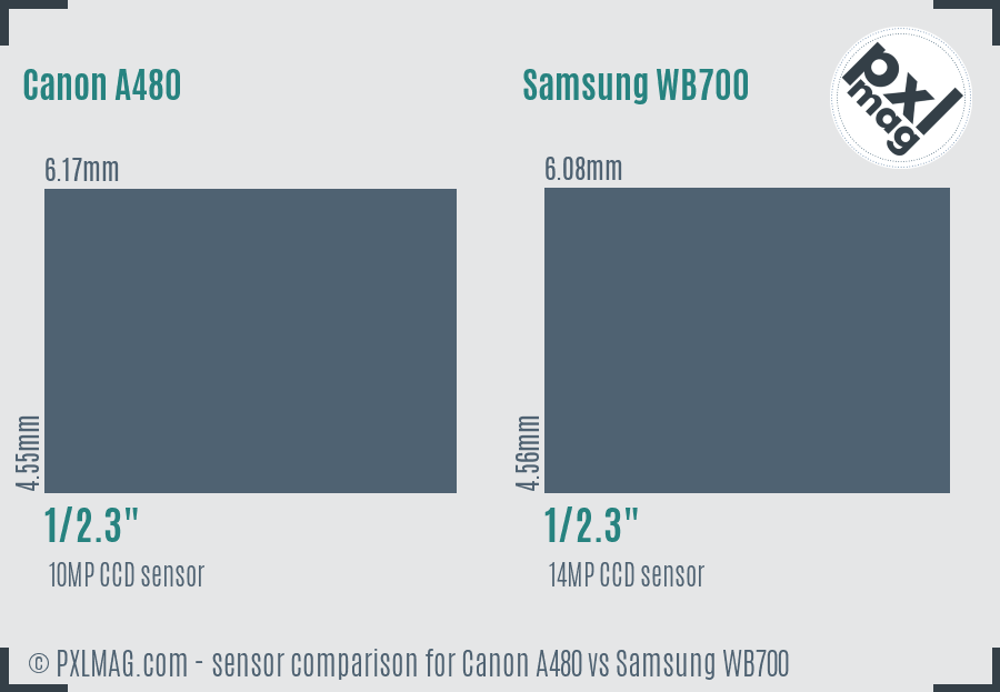 Canon A480 vs Samsung WB700 sensor size comparison