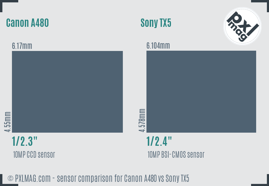 Canon A480 vs Sony TX5 sensor size comparison