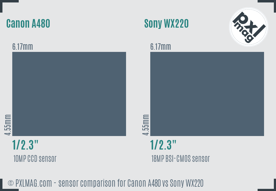 Canon A480 vs Sony WX220 sensor size comparison