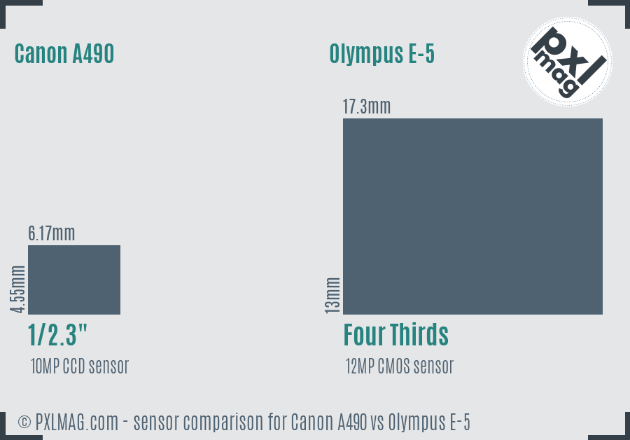 Canon A490 vs Olympus E-5 sensor size comparison