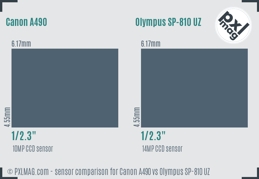 Canon A490 vs Olympus SP-810 UZ sensor size comparison