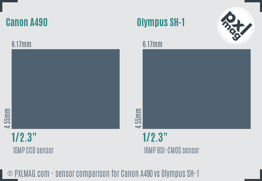 Canon A490 vs Olympus SH-1 sensor size comparison