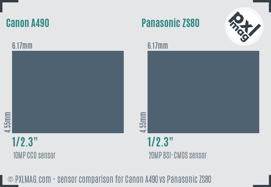 Canon A490 vs Panasonic ZS80 sensor size comparison