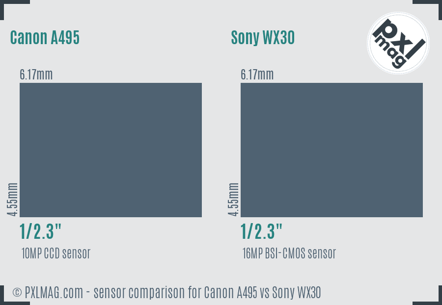 Canon A495 vs Sony WX30 sensor size comparison