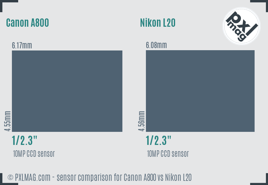 Canon A800 vs Nikon L20 sensor size comparison