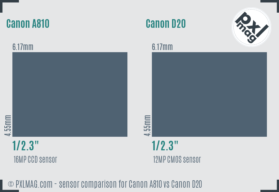 Canon A810 vs Canon D20 sensor size comparison