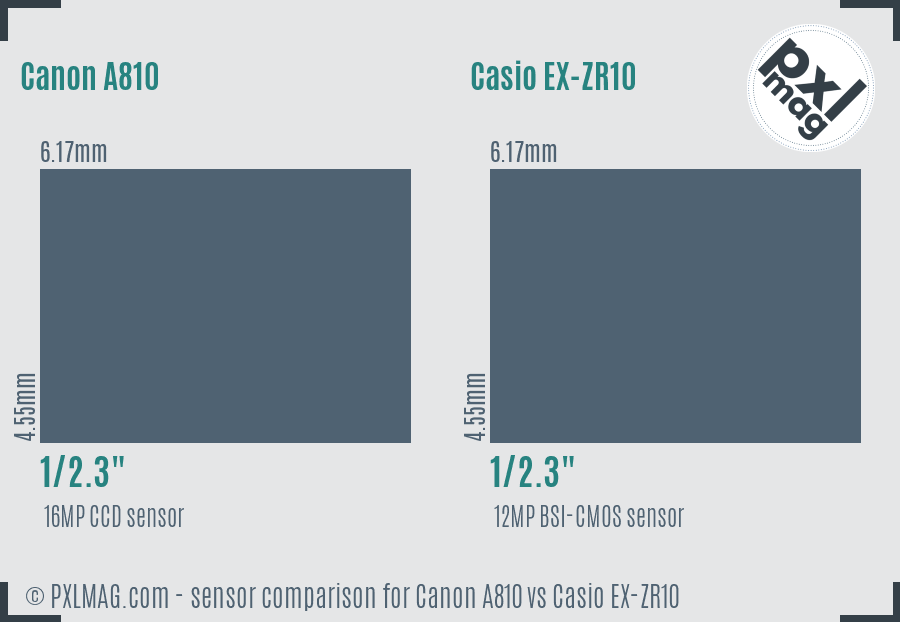 Canon A810 vs Casio EX-ZR10 sensor size comparison