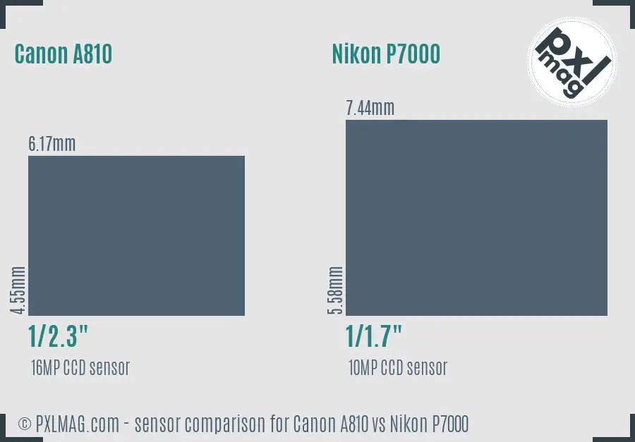 Canon A810 vs Nikon P7000 sensor size comparison