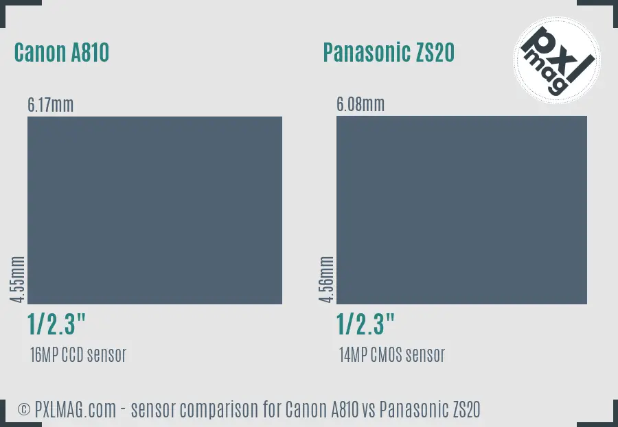 Canon A810 vs Panasonic ZS20 sensor size comparison