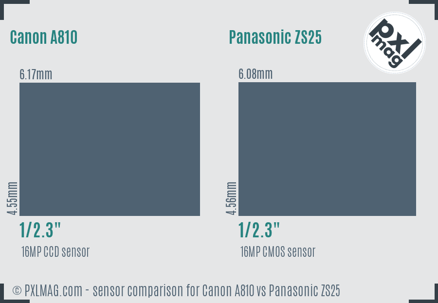 Canon A810 vs Panasonic ZS25 sensor size comparison