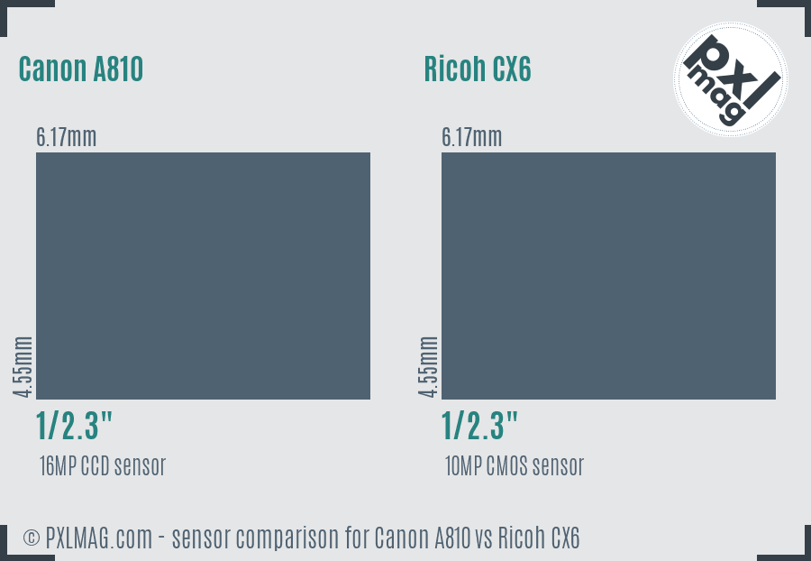 Canon A810 vs Ricoh CX6 sensor size comparison