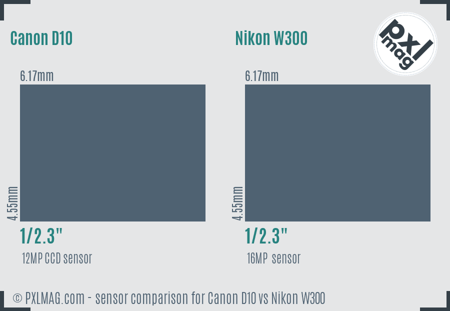 Canon D10 vs Nikon W300 sensor size comparison