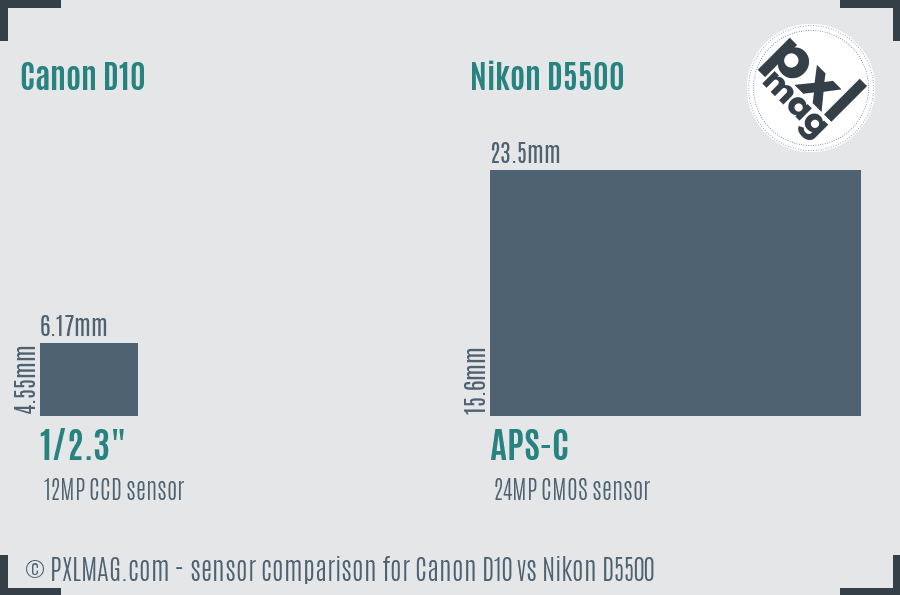 Canon D10 vs Nikon D5500 sensor size comparison