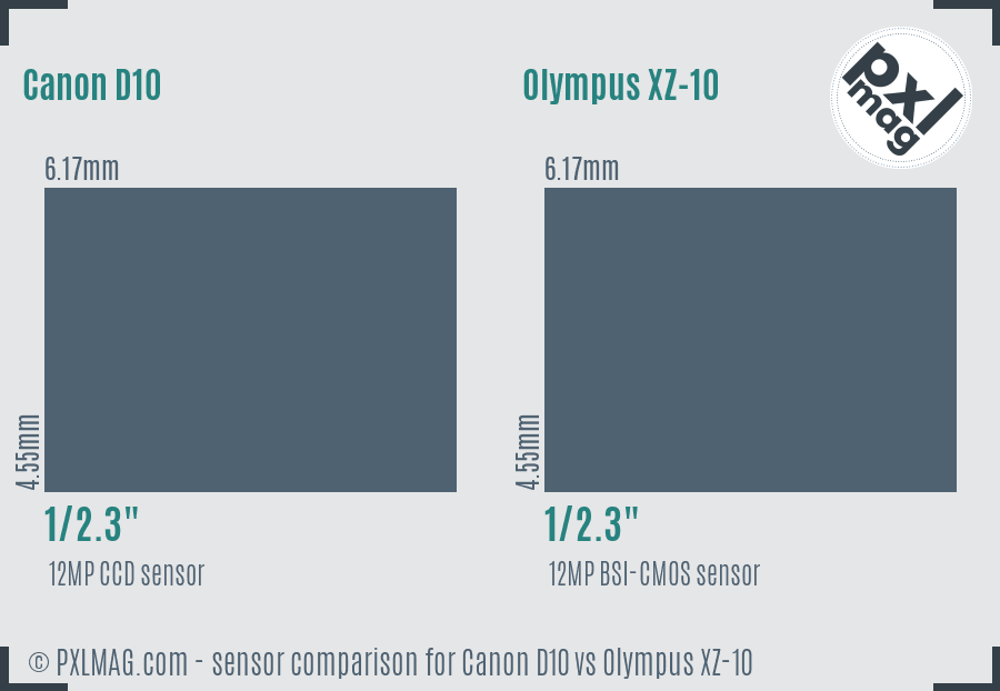 Canon D10 vs Olympus XZ-10 sensor size comparison