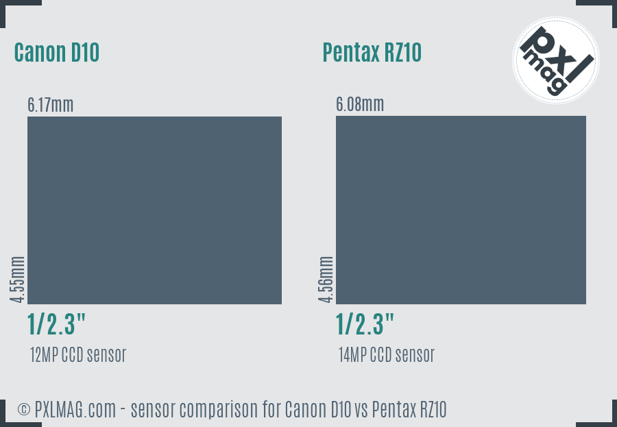 Canon D10 vs Pentax RZ10 sensor size comparison