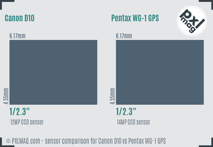 Canon D10 vs Pentax WG-1 GPS sensor size comparison Canon D10 vs Pentax WG-1 GPS sensor size comparison