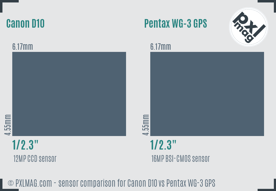 Canon D10 vs Pentax WG-3 GPS sensor size comparison