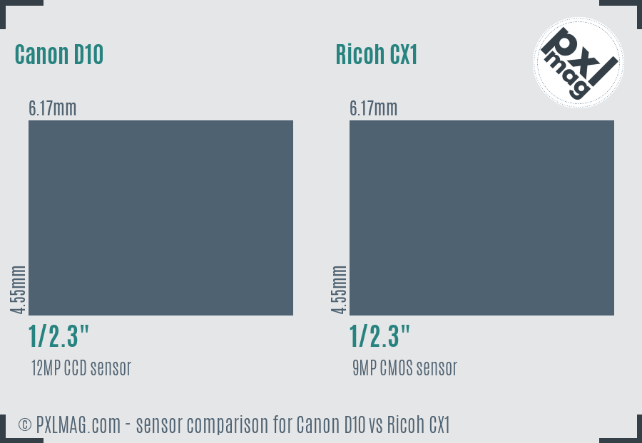 Canon D10 vs Ricoh CX1 sensor size comparison