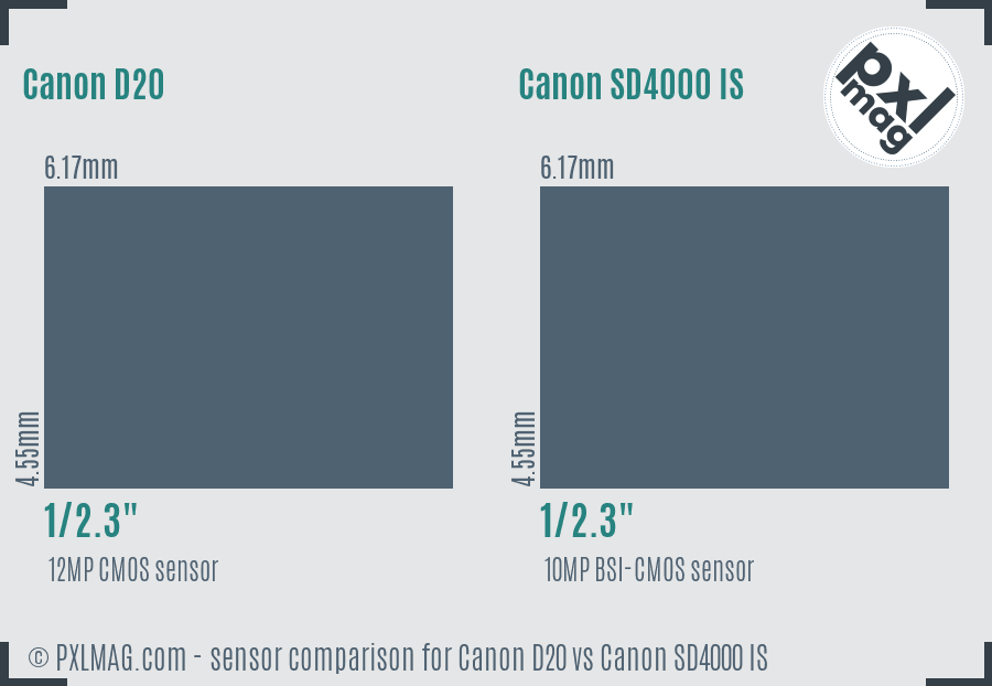Canon D20 vs Canon SD4000 IS sensor size comparison