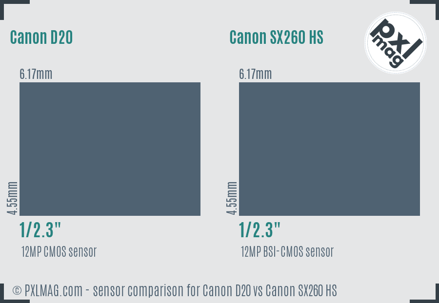 Canon D20 vs Canon SX260 HS sensor size comparison