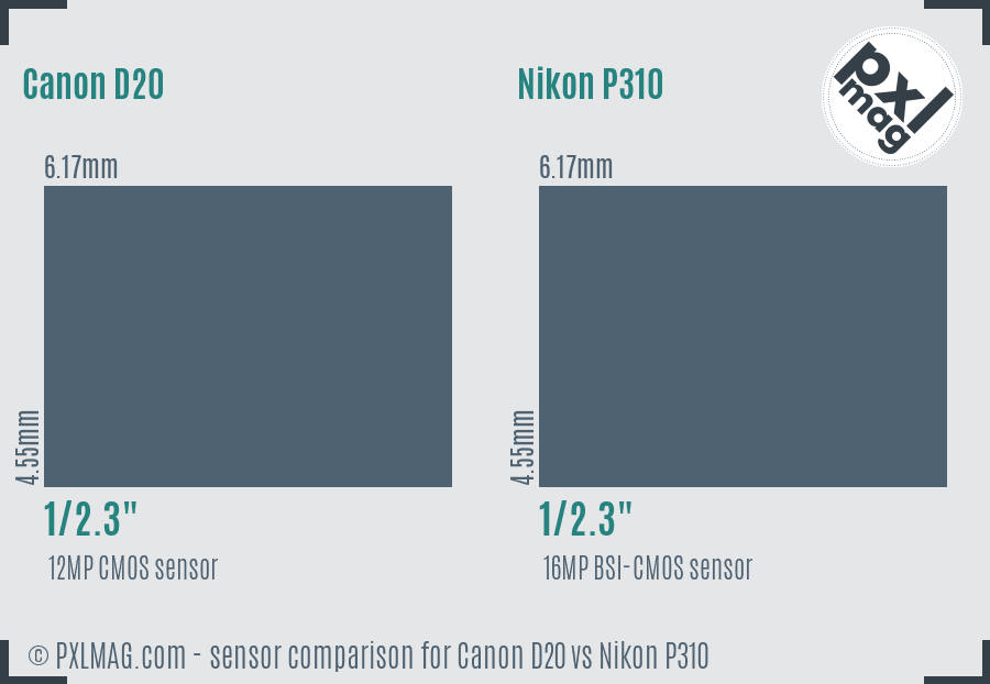 Canon D20 vs Nikon P310 sensor size comparison