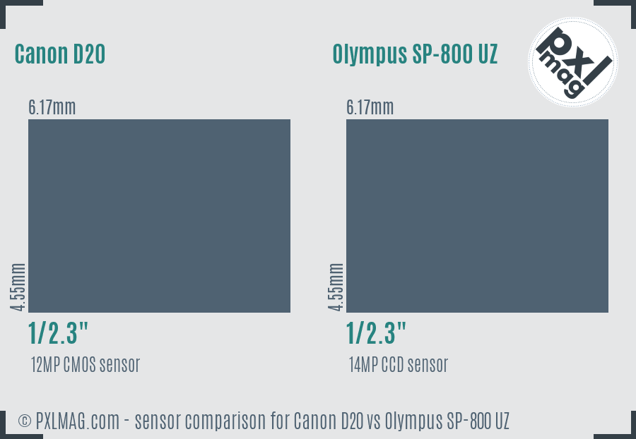 Canon D20 vs Olympus SP-800 UZ sensor size comparison