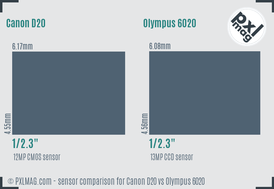 Canon D20 vs Olympus 6020 sensor size comparison