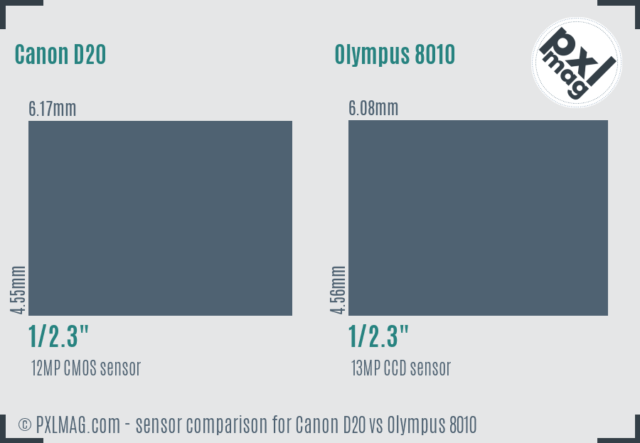 Canon D20 vs Olympus 8010 sensor size comparison