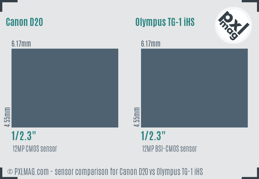 Canon D20 vs Olympus TG-1 iHS sensor size comparison