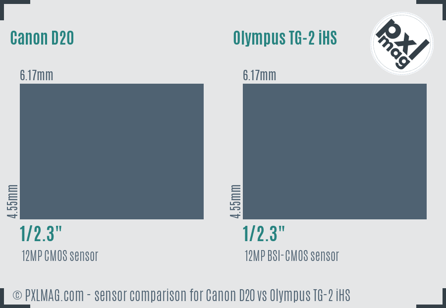 Canon D20 vs Olympus TG-2 iHS sensor size comparison