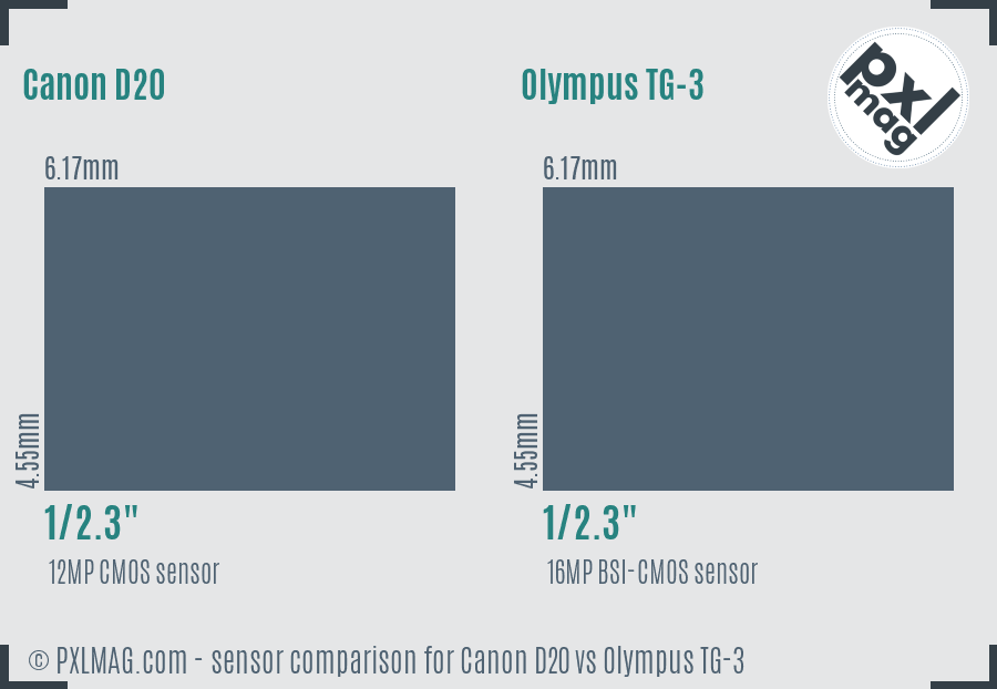 Canon D20 vs Olympus TG-3 sensor size comparison