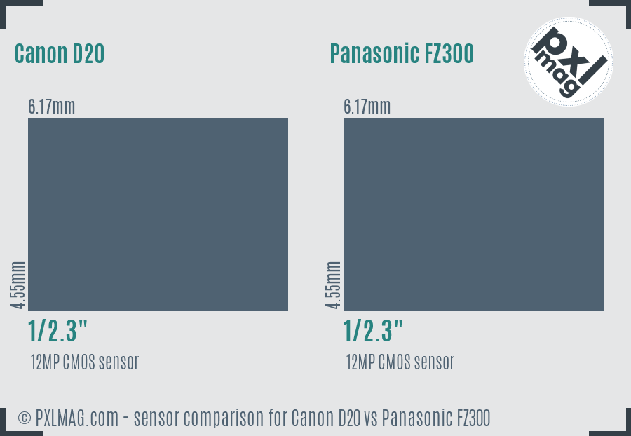 Canon D20 vs Panasonic FZ300 sensor size comparison
