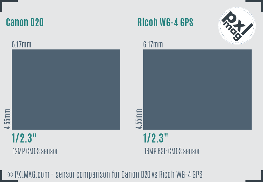Canon D20 vs Ricoh WG-4 GPS sensor size comparison