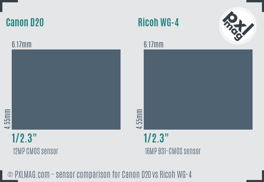 Canon D20 vs Ricoh WG-4 sensor size comparison