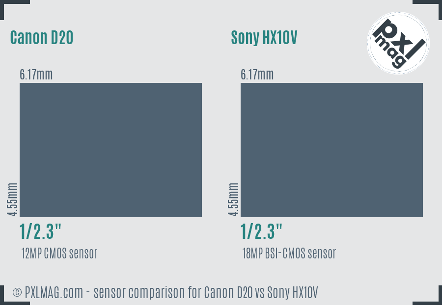 Canon D20 vs Sony HX10V sensor size comparison