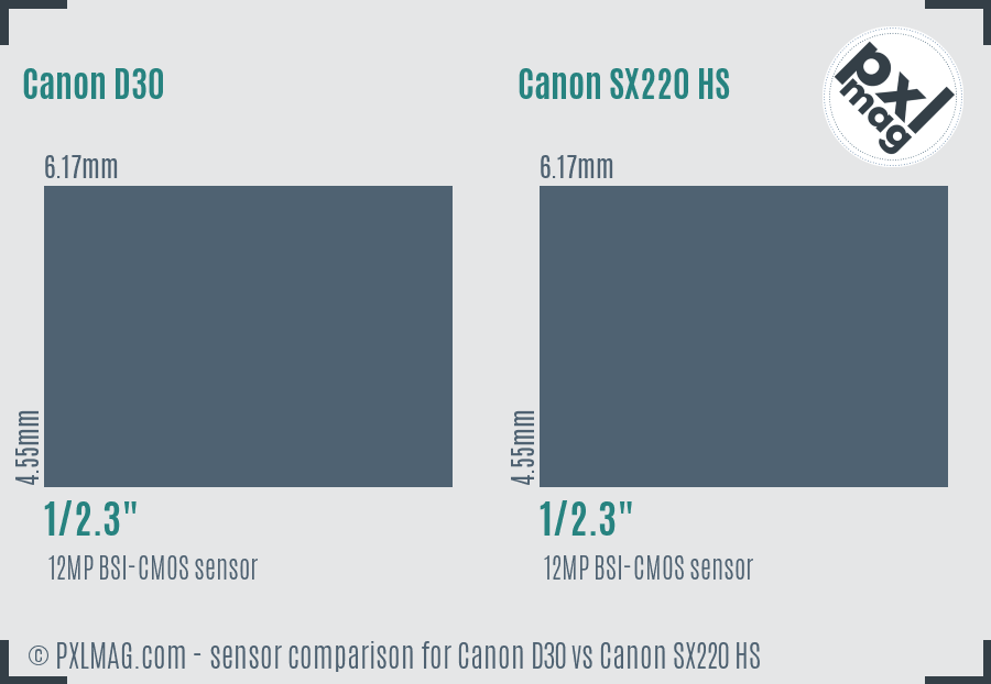 Canon D30 vs Canon SX220 HS sensor size comparison