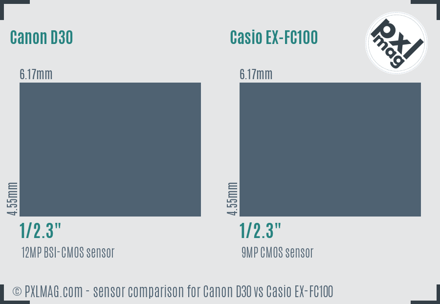 Canon D30 vs Casio EX-FC100 sensor size comparison