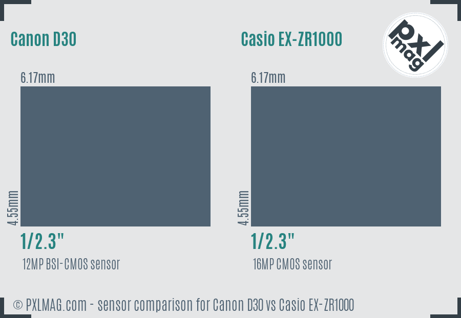 Canon D30 vs Casio EX-ZR1000 sensor size comparison