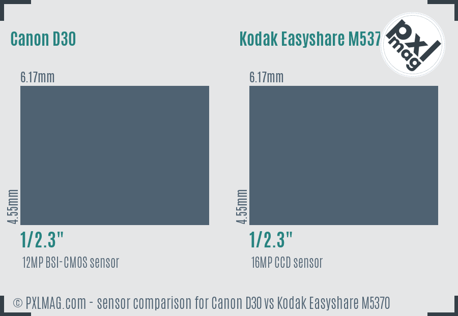 Canon D30 vs Kodak Easyshare M5370 sensor size comparison