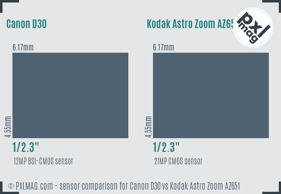 Canon D30 vs Kodak Astro Zoom AZ651 sensor size comparison